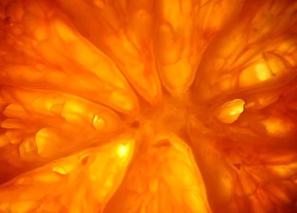 オレンジマクロ — ストック写真
