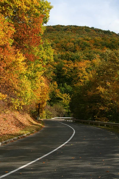 Stock image Autumn