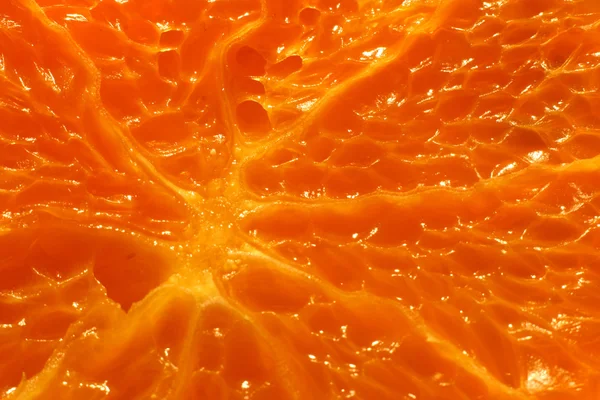 橙色宏 — 图库照片