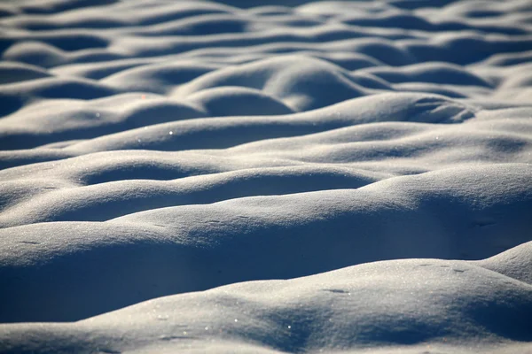 stock image Snow and light