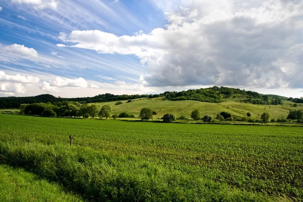 Stock image Landscape