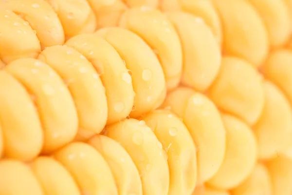 stock image Fresh corn