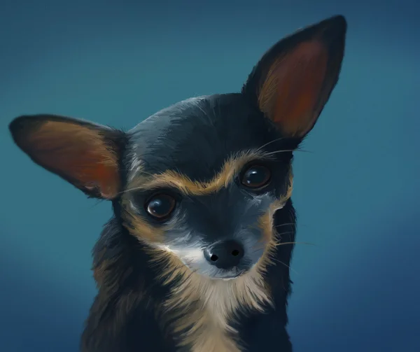 Chihuahua - digital målning — Stockfoto