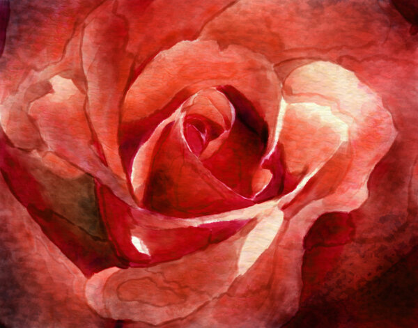 Digital painting of a close-up of red rose petals