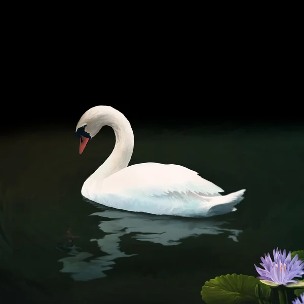 Mute swan - dijital boyama — Stok fotoğraf