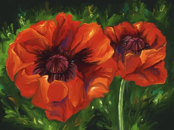 Red Poppies - Digital Painting Royalty Free Stock Photos