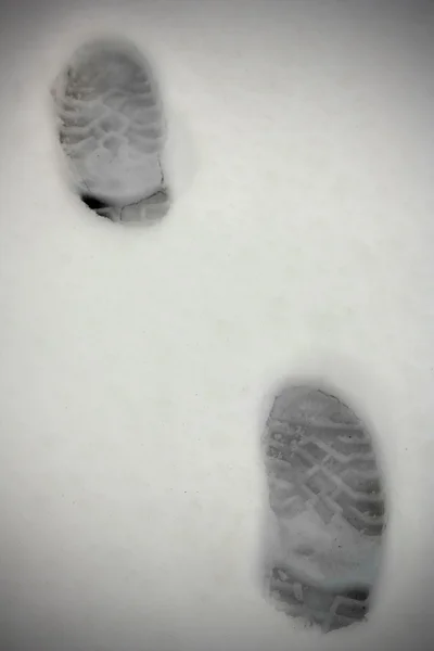 Kar ayak izleri — Stok fotoğraf