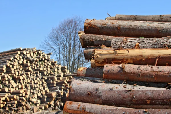Preparação de madeira — Fotografia de Stock