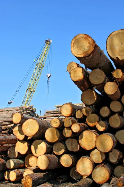 Příprava dřeva — Stock fotografie