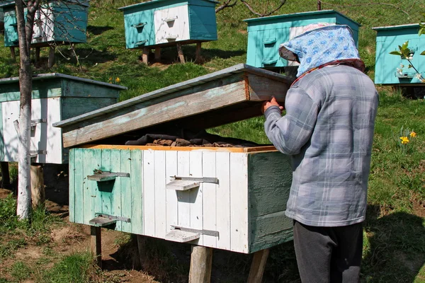 L'apicoltore a un alveare — Foto Stock