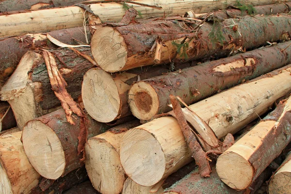 Preparación de madera — Foto de Stock