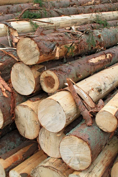 Preparación de madera — Foto de Stock