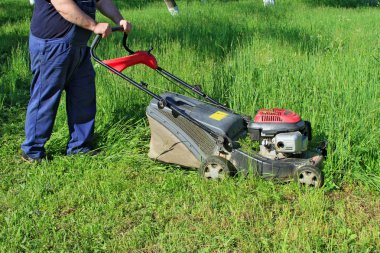 Skewing grasses a petrol mower clipart