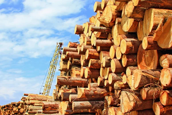 木材の準備 — ストック写真