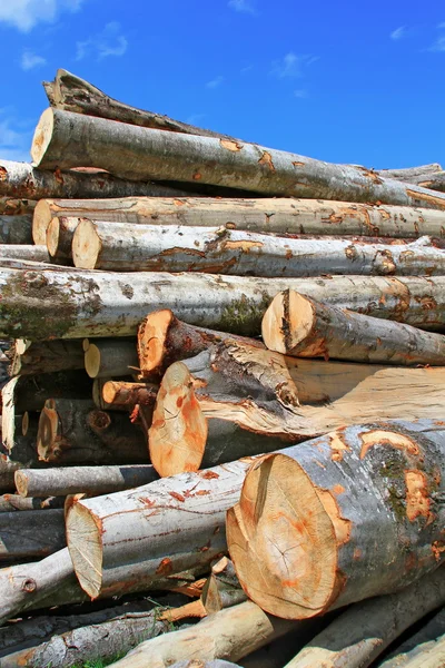 Przygotowanie drewna — Zdjęcie stockowe