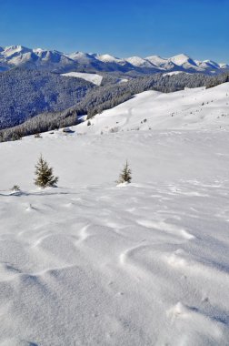 bir yamaca kış