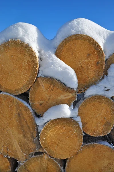 stock image Fire wood under snow.