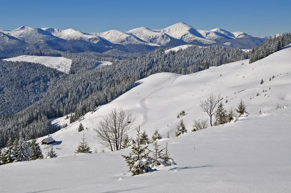 Зима на склоне горы — стоковое фото