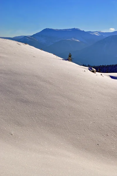 Зима на склоне горы — стоковое фото