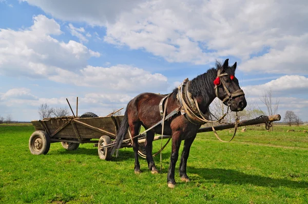 Cavallo con carretto . — Foto Stock