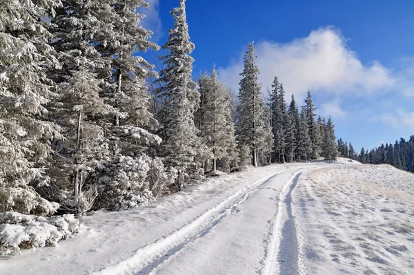 Strada invernale in legno — Foto Stock