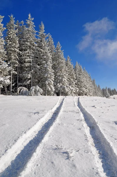 Wood winter road — Stock Photo, Image