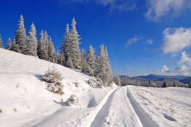 Kış hillside yolda