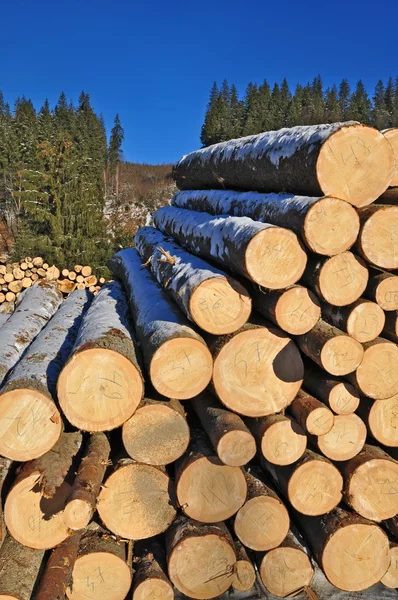 Příprava dřeva — Stock fotografie