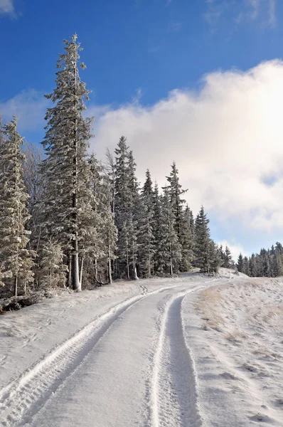 Weg op een heuvel winter — Stockfoto