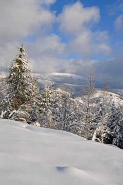 bir tepe üzerinde kar