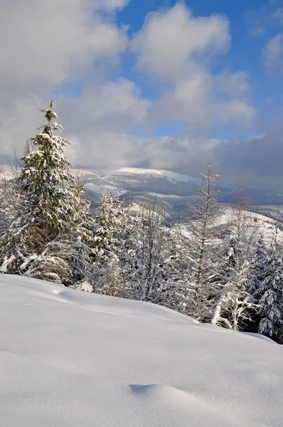 Neve su una collina — Foto Stock