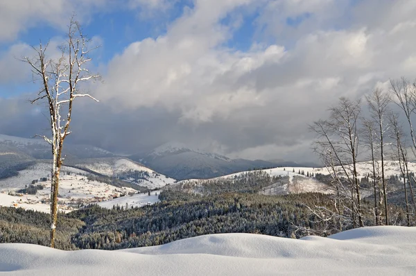 Снег на склоне холма — стоковое фото