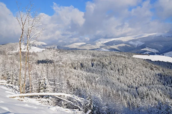 Снег на склоне холма — стоковое фото