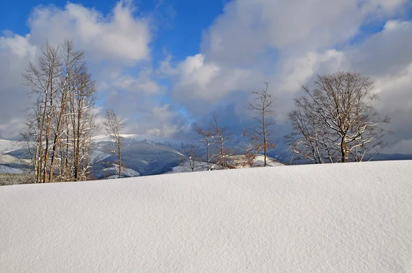 雪の丘の中腹に — ストック写真