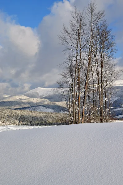 Snow on a hillside — Stock Photo, Image