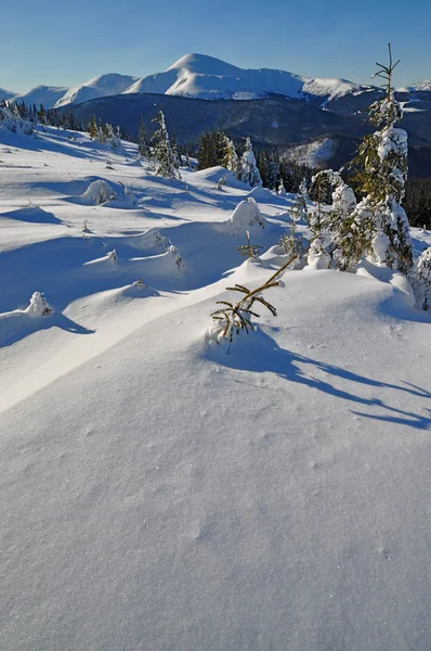 Winter in den Bergen. — Stockfoto