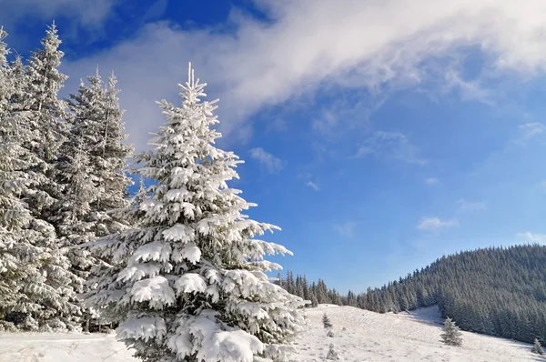 겨울 언덕 — 스톡 사진