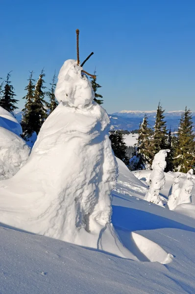 Jodła w śniegu na wzgórzu — Zdjęcie stockowe