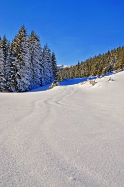 Tahta yol