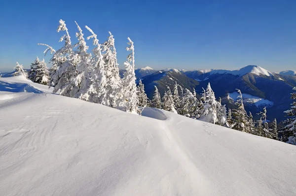 Musim dingin di pegunungan — Stok Foto