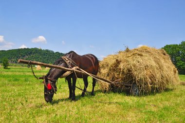 Hay preparation clipart