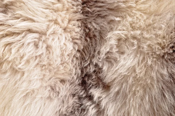 Das gefertigte Fell eines Schafes — Stockfoto