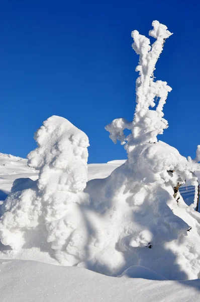 Белые перья из снега — стоковое фото