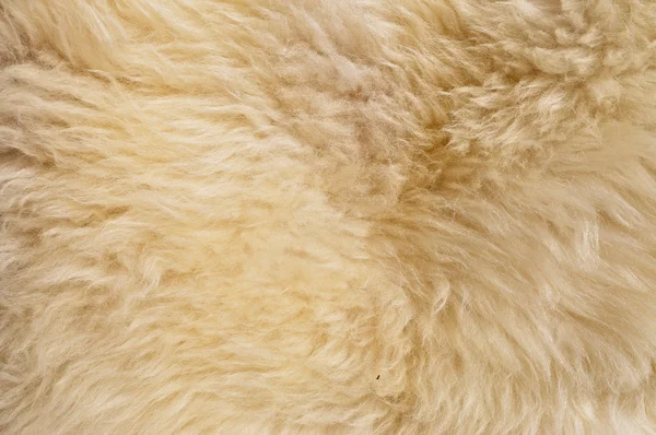 Das gefertigte Fell eines Schafes — Stockfoto