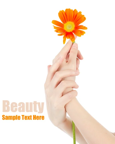 Mãos de beleza e flor — Fotografia de Stock