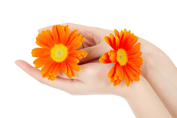 Schoonheid handen en bloem — Stockfoto