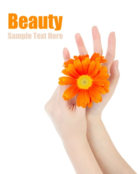 Piękno rąk i kwiat — Zdjęcie stockowe