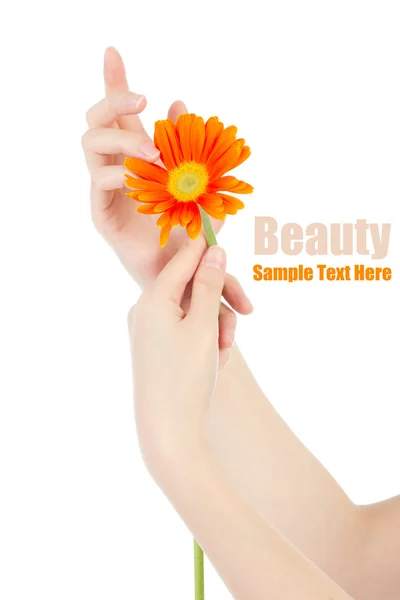 Schönheit Hände und Blume — Stockfoto