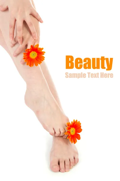 Schönheit Beine und Blume — Stockfoto