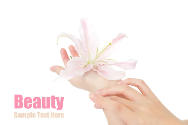 Piękno rąk i kwiat — Zdjęcie stockowe